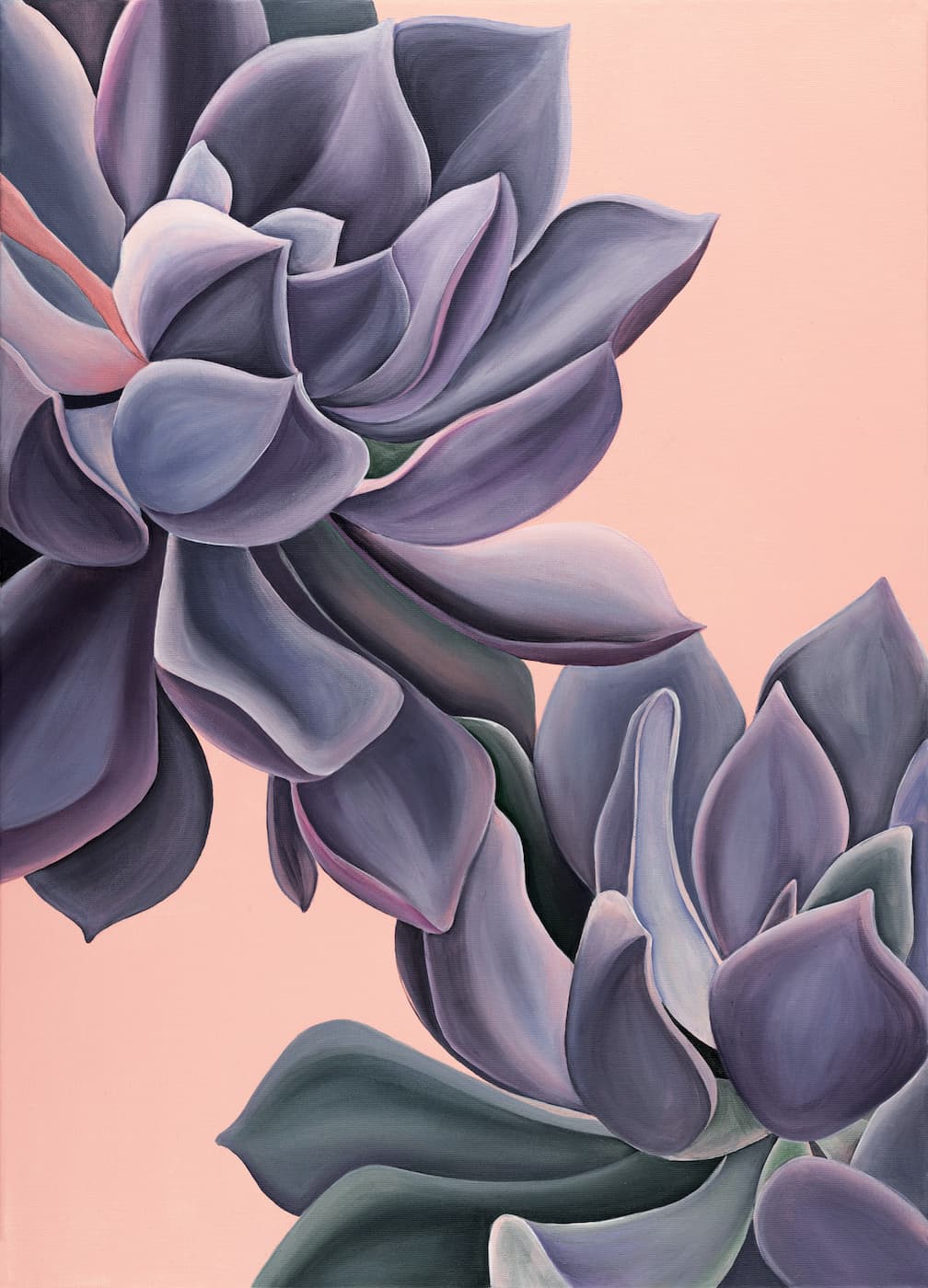 Purple Succulent (SOLD)