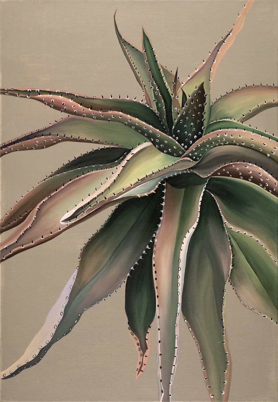 Spiny Aloe (SOLD)