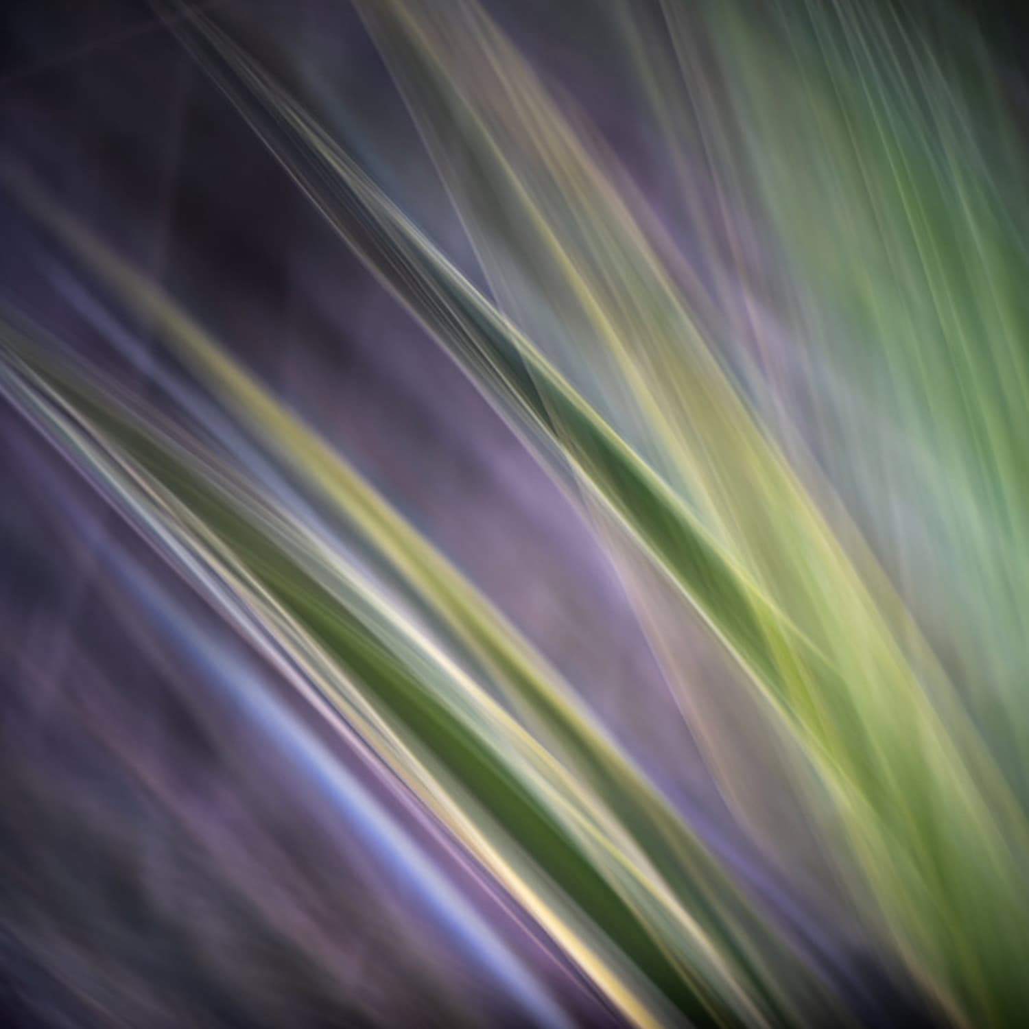 Abstraction #12