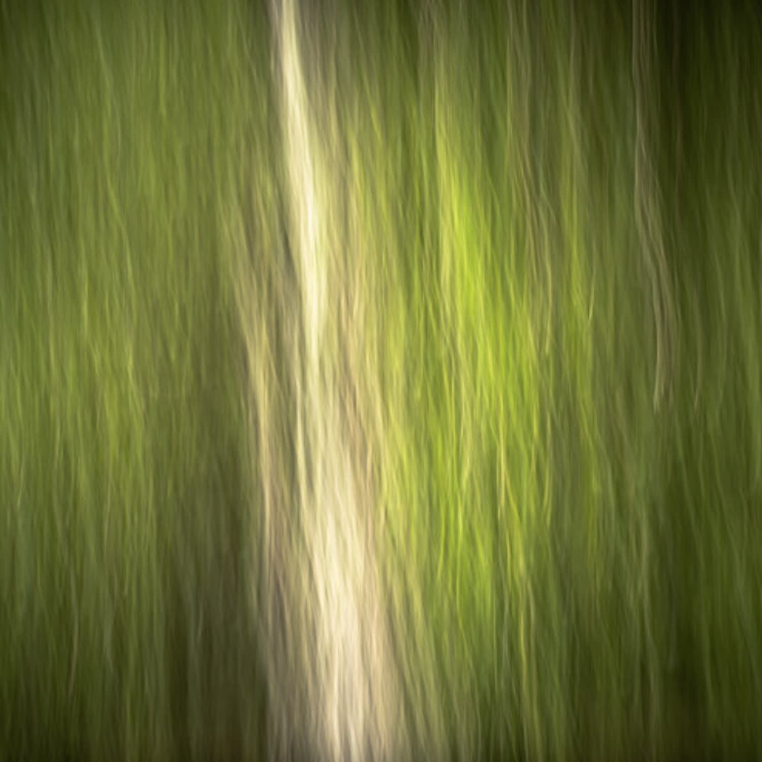 Abstraction #4
