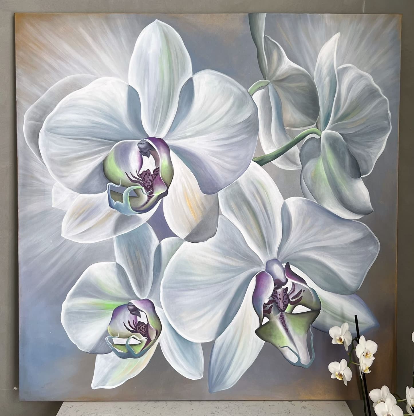 Silver Orchid